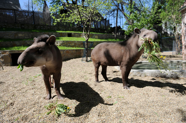 Врт добре наде прати ново доба
